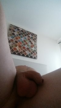 Bored at home, any pic requests?