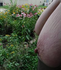 Undi says this is the BrEaST view of my Flower Garden  ;) :) :) :)