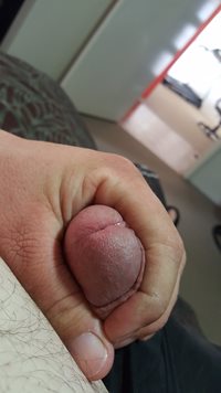 A little bit of precum. Care to lick it up?