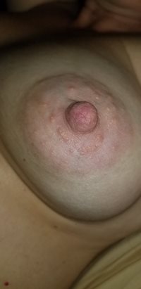 Sexy Nip