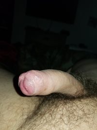 My virgin cock dripping in pre cum