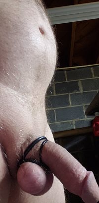 Can anyone suck the rings off of my did and balls?
