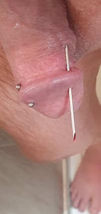 New piercings 