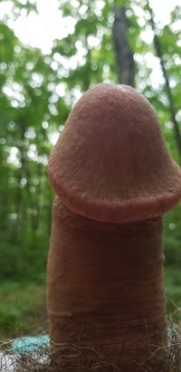 More fun in the woods
