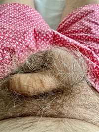 Morning hairy handful - my soft little cock and big balls for you.