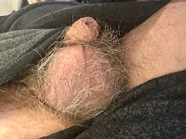 The testosterone factories - my big hairy balls. Don’t let that little wrin...