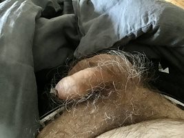 The hairy morning handful. Would you take me in hand and feel my arousal gr...