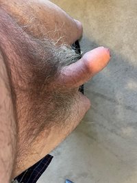 My fat little 80 year old dick - any thoughts?