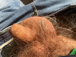 My soft chunky little uncut 80 year old cock and big hairy balls at rest in...