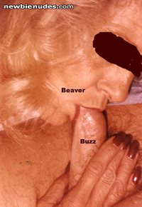 Beaver & Buzz III