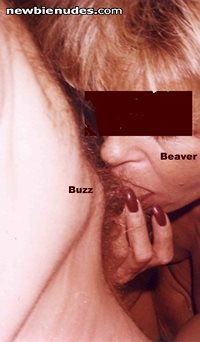 Beaver & Buzz V