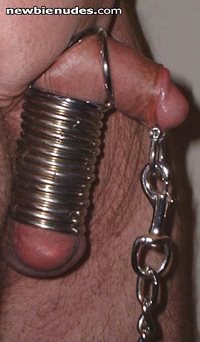 Great use for a frenum piercing.  Dommes I'm available for CBT.