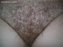 Do you like  my bush pic ?. It is so clear you can almost count the hairs.