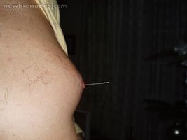 inserting needles down to holes made in nipples